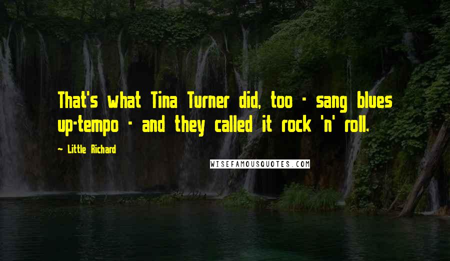 Little Richard Quotes: That's what Tina Turner did, too - sang blues up-tempo - and they called it rock 'n' roll.