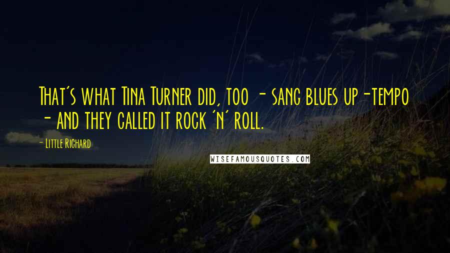 Little Richard Quotes: That's what Tina Turner did, too - sang blues up-tempo - and they called it rock 'n' roll.