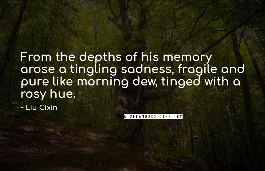 Liu Cixin Quotes: From the depths of his memory arose a tingling sadness, fragile and pure like morning dew, tinged with a rosy hue.