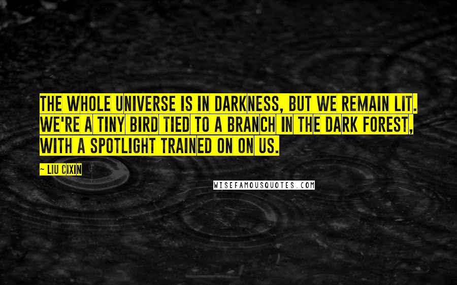 Liu Cixin Quotes: The whole universe is in darkness, but we remain lit. We're a tiny bird tied to a branch in the dark forest, with a spotlight trained on on us.