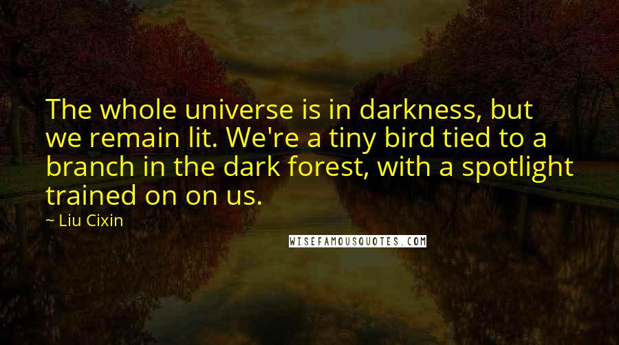 Liu Cixin Quotes: The whole universe is in darkness, but we remain lit. We're a tiny bird tied to a branch in the dark forest, with a spotlight trained on on us.