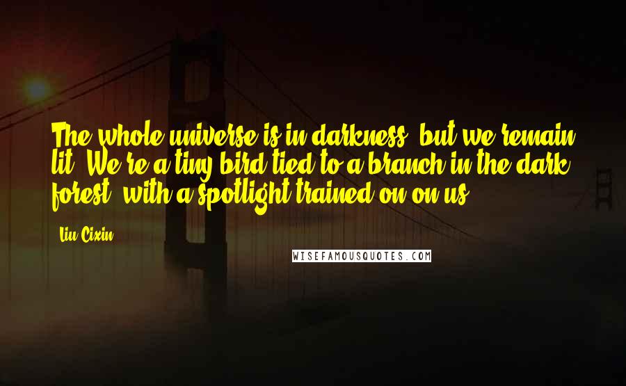 Liu Cixin Quotes: The whole universe is in darkness, but we remain lit. We're a tiny bird tied to a branch in the dark forest, with a spotlight trained on on us.