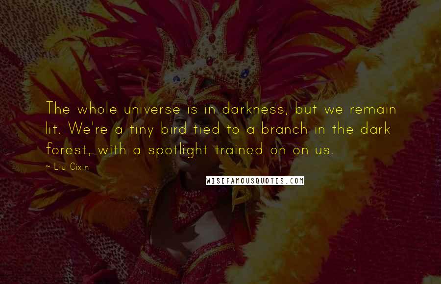 Liu Cixin Quotes: The whole universe is in darkness, but we remain lit. We're a tiny bird tied to a branch in the dark forest, with a spotlight trained on on us.