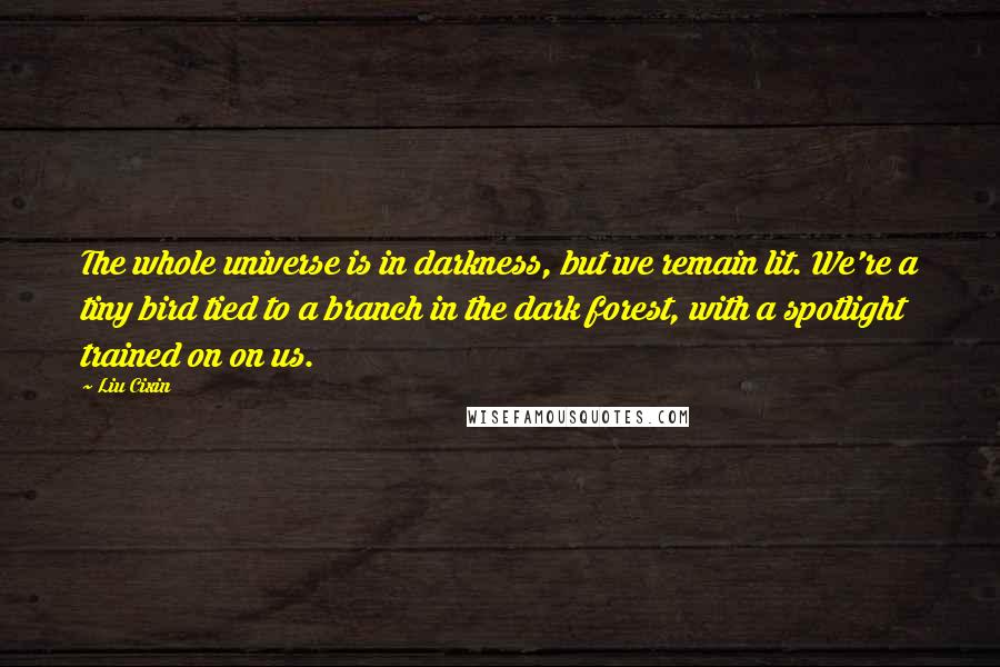 Liu Cixin Quotes: The whole universe is in darkness, but we remain lit. We're a tiny bird tied to a branch in the dark forest, with a spotlight trained on on us.