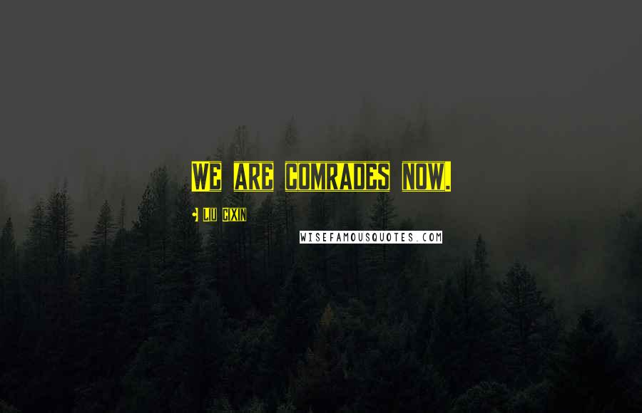 Liu Cixin Quotes: We are comrades now.