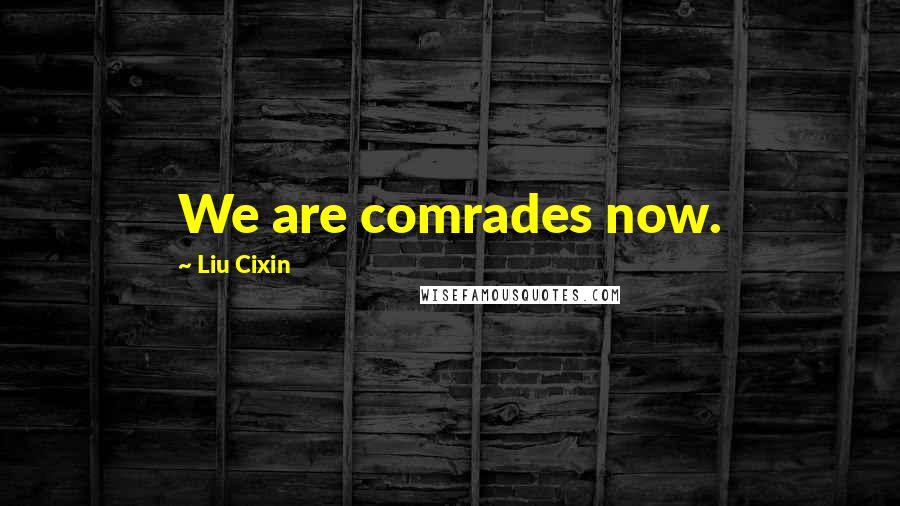 Liu Cixin Quotes: We are comrades now.