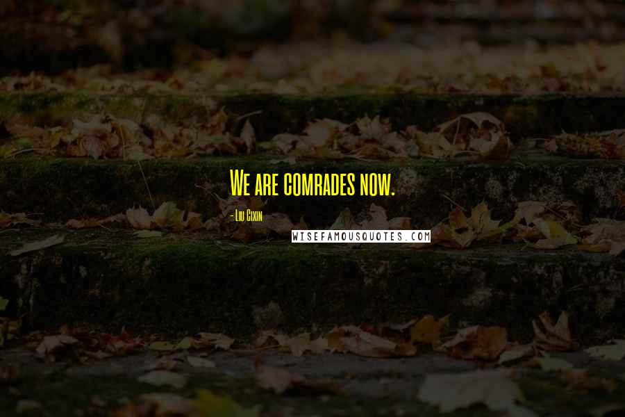 Liu Cixin Quotes: We are comrades now.