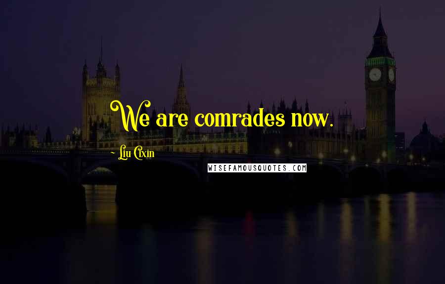 Liu Cixin Quotes: We are comrades now.