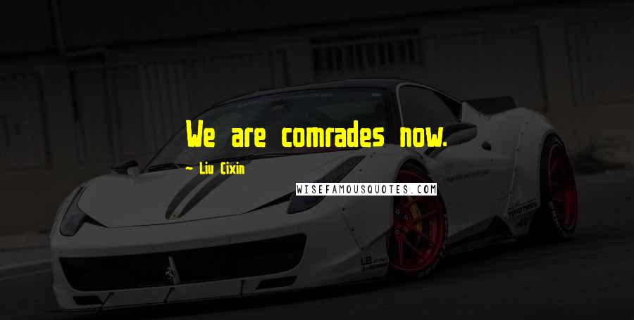 Liu Cixin Quotes: We are comrades now.