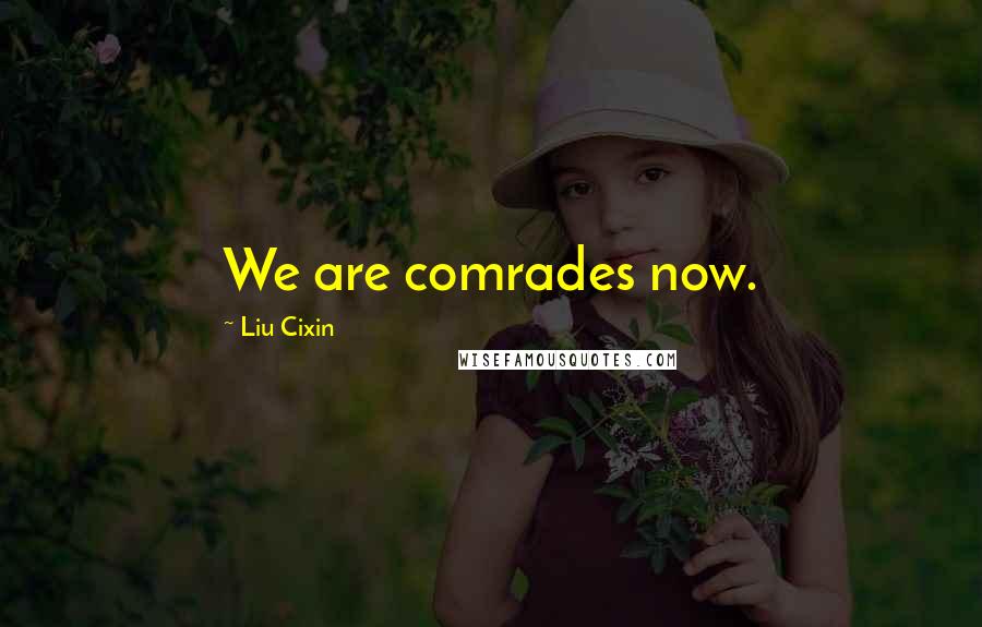 Liu Cixin Quotes: We are comrades now.