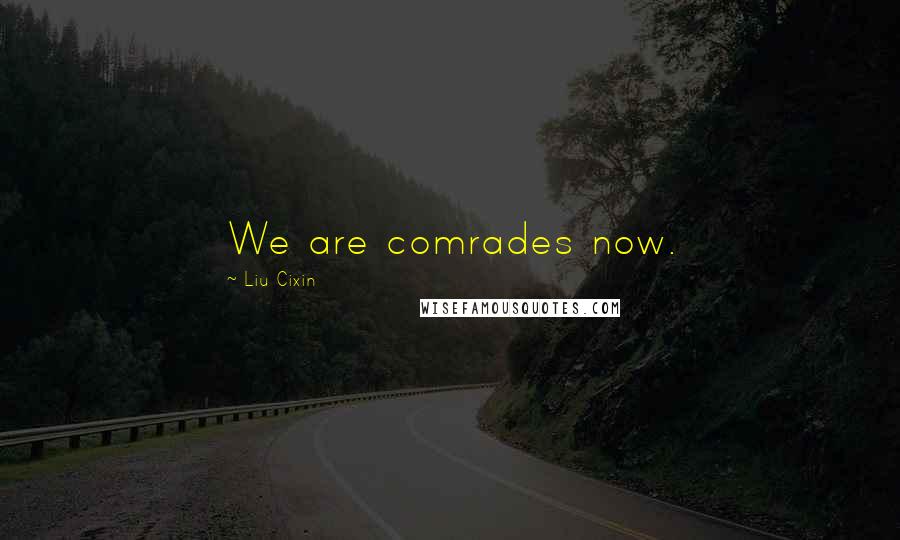 Liu Cixin Quotes: We are comrades now.