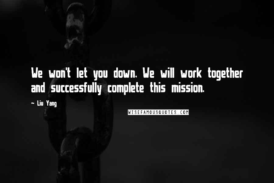 Liu Yang Quotes: We won't let you down. We will work together and successfully complete this mission.