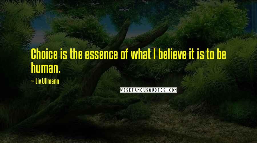 Liv Ullmann Quotes: Choice is the essence of what I believe it is to be human.