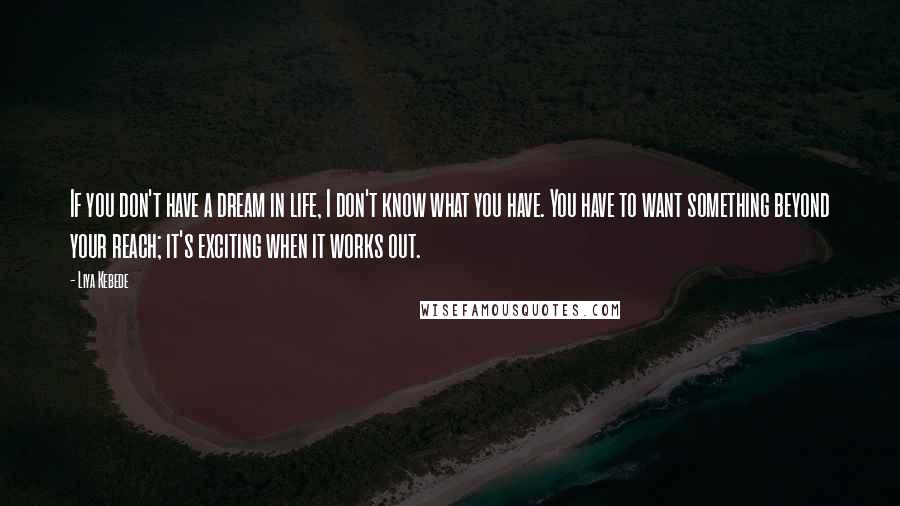 Liya Kebede Quotes: If you don't have a dream in life, I don't know what you have. You have to want something beyond your reach; it's exciting when it works out.