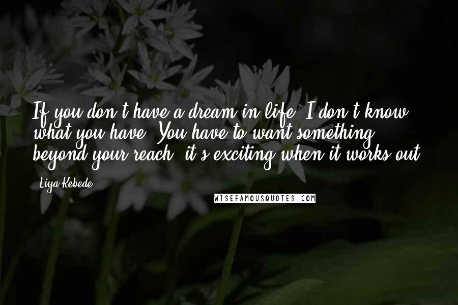Liya Kebede Quotes: If you don't have a dream in life, I don't know what you have. You have to want something beyond your reach; it's exciting when it works out.