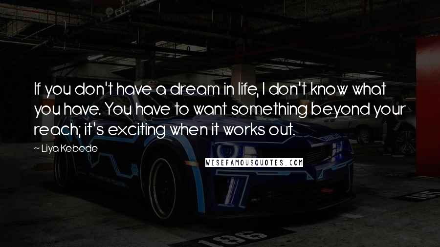 Liya Kebede Quotes: If you don't have a dream in life, I don't know what you have. You have to want something beyond your reach; it's exciting when it works out.