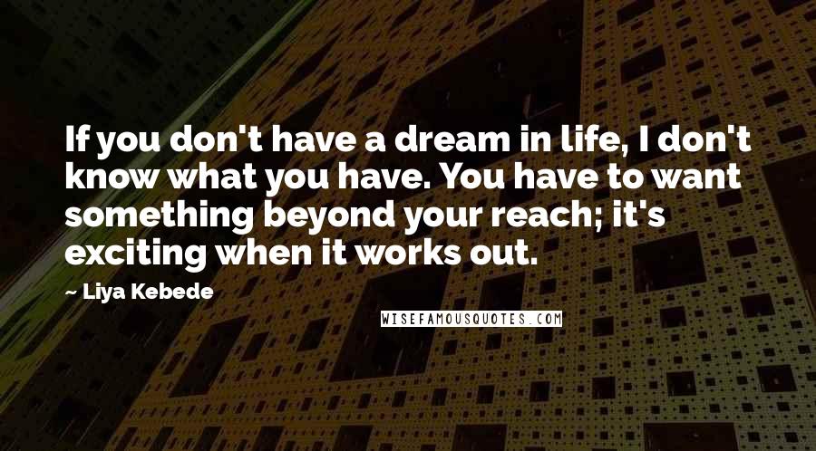 Liya Kebede Quotes: If you don't have a dream in life, I don't know what you have. You have to want something beyond your reach; it's exciting when it works out.