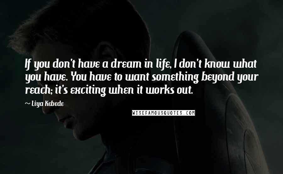 Liya Kebede Quotes: If you don't have a dream in life, I don't know what you have. You have to want something beyond your reach; it's exciting when it works out.