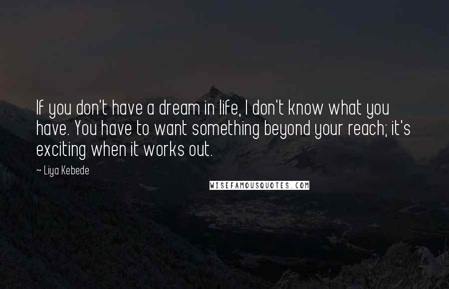 Liya Kebede Quotes: If you don't have a dream in life, I don't know what you have. You have to want something beyond your reach; it's exciting when it works out.