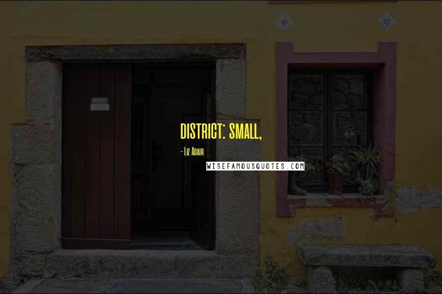 Liz Adair Quotes: district: small,