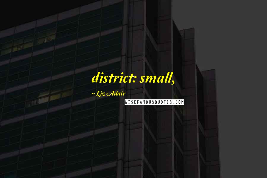 Liz Adair Quotes: district: small,