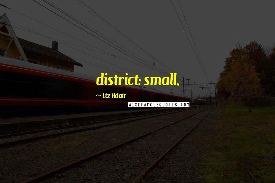 Liz Adair Quotes: district: small,