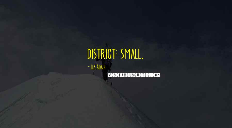 Liz Adair Quotes: district: small,