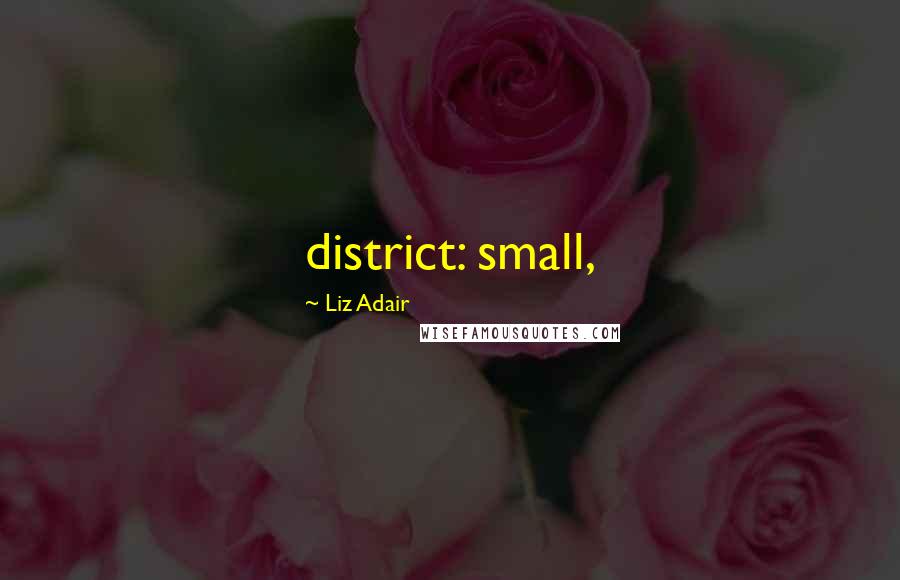 Liz Adair Quotes: district: small,