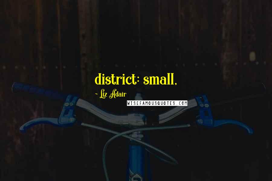 Liz Adair Quotes: district: small,