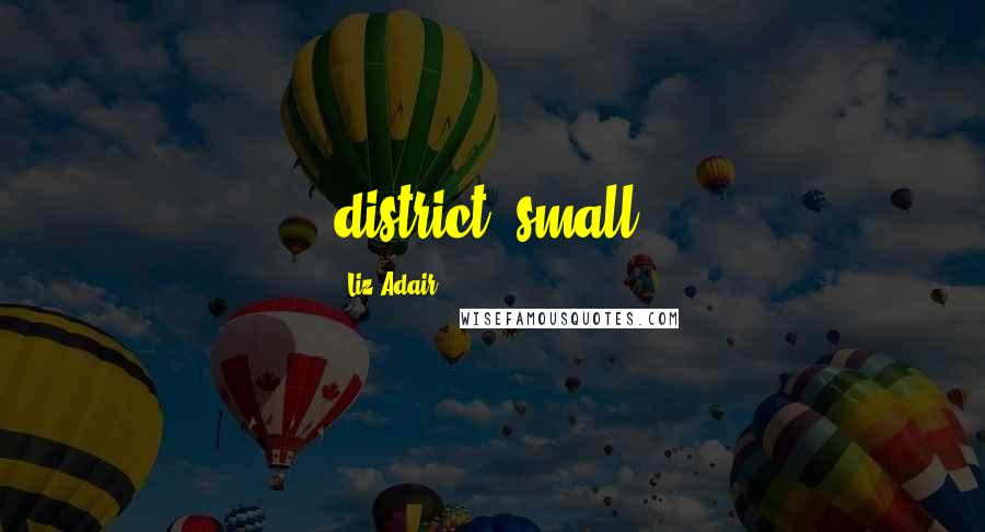 Liz Adair Quotes: district: small,