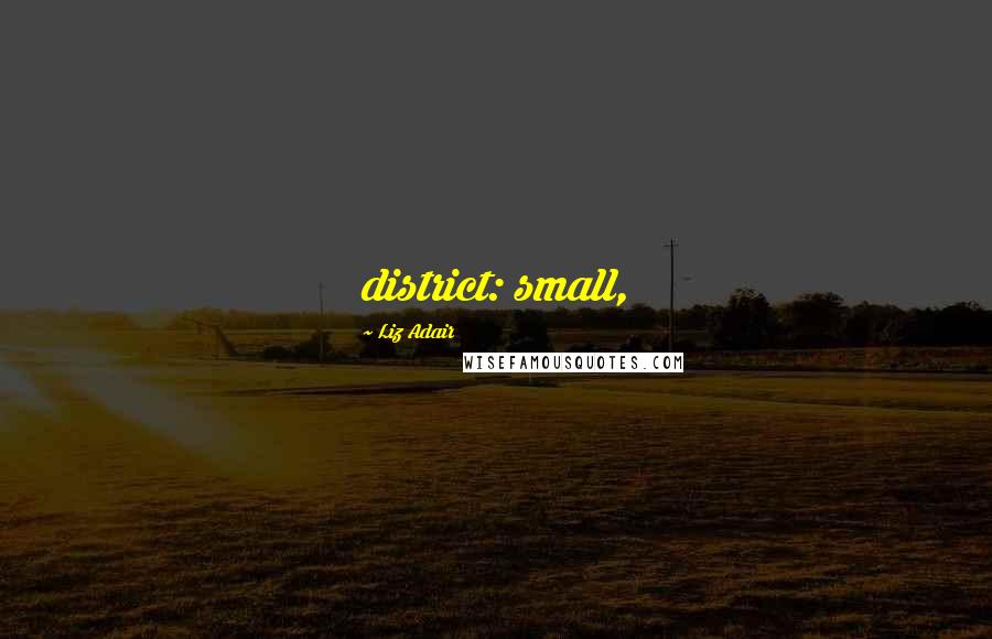 Liz Adair Quotes: district: small,