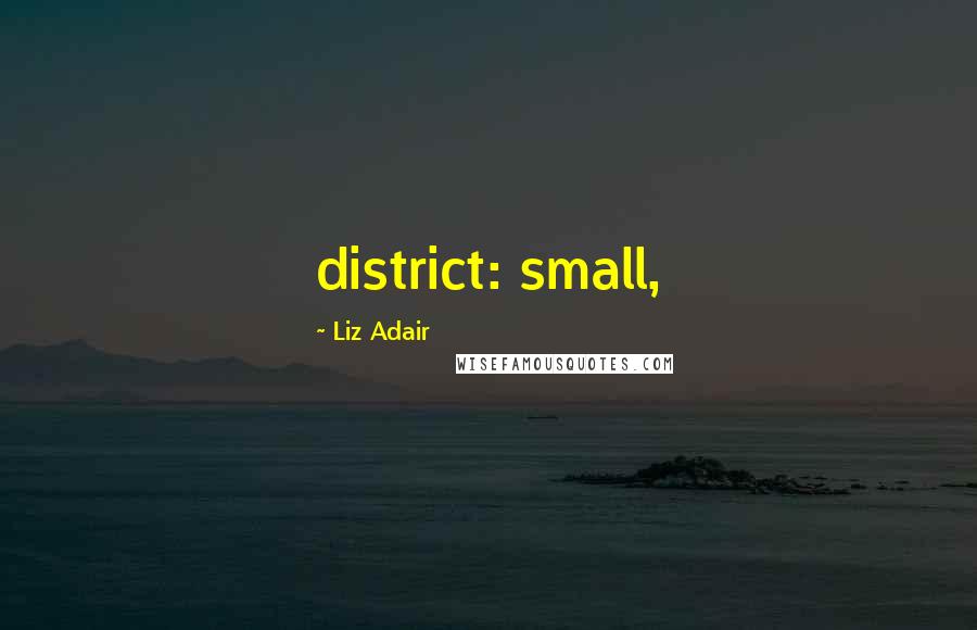 Liz Adair Quotes: district: small,