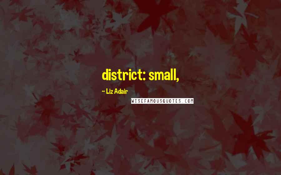 Liz Adair Quotes: district: small,