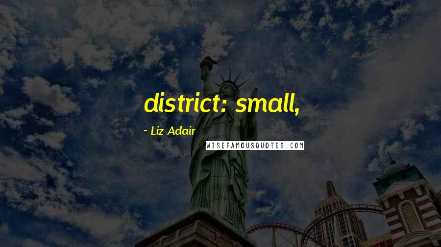 Liz Adair Quotes: district: small,