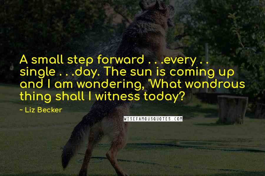 Liz Becker Quotes: A small step forward . . .every . . single . . .day. The sun is coming up and I am wondering, 'What wondrous thing shall I witness today?