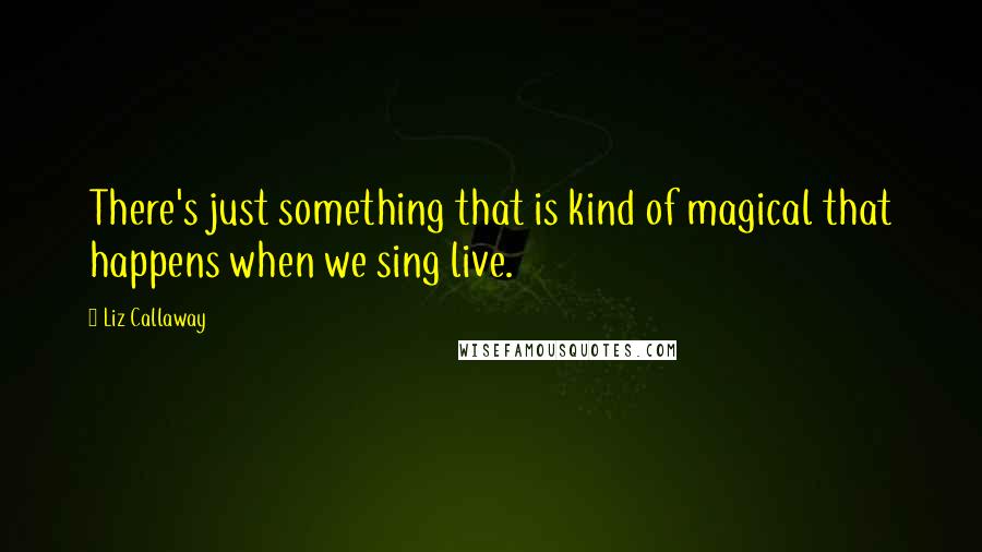 Liz Callaway Quotes: There's just something that is kind of magical that happens when we sing live.