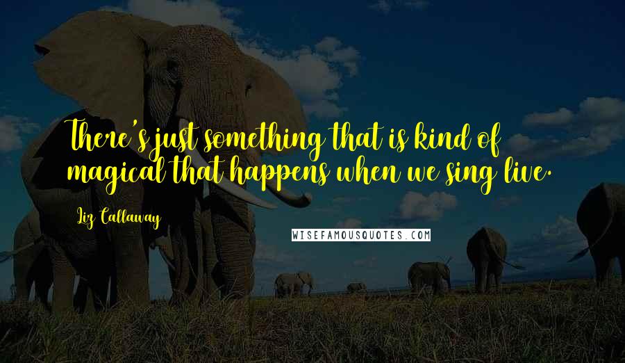 Liz Callaway Quotes: There's just something that is kind of magical that happens when we sing live.