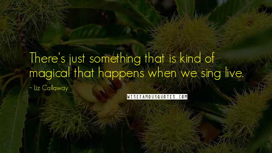 Liz Callaway Quotes: There's just something that is kind of magical that happens when we sing live.