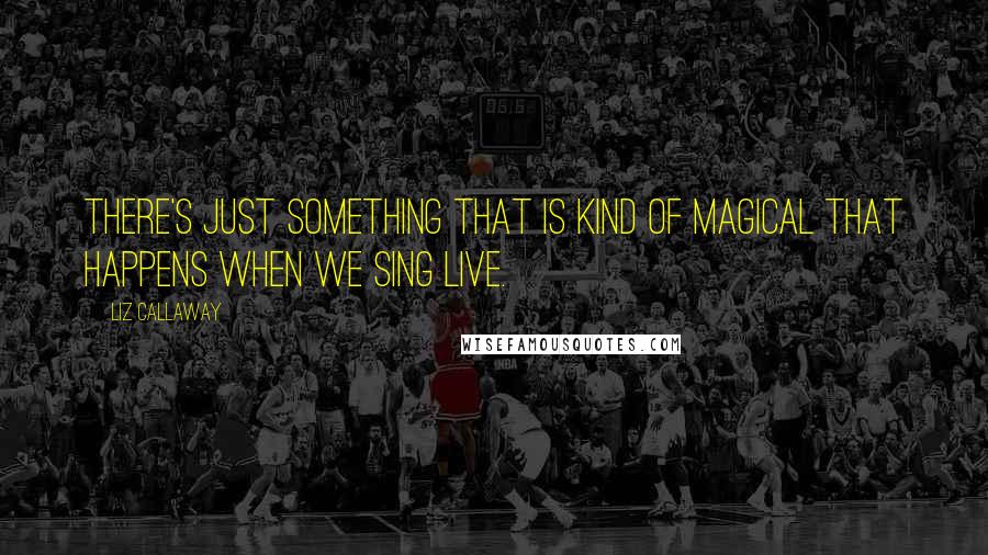 Liz Callaway Quotes: There's just something that is kind of magical that happens when we sing live.