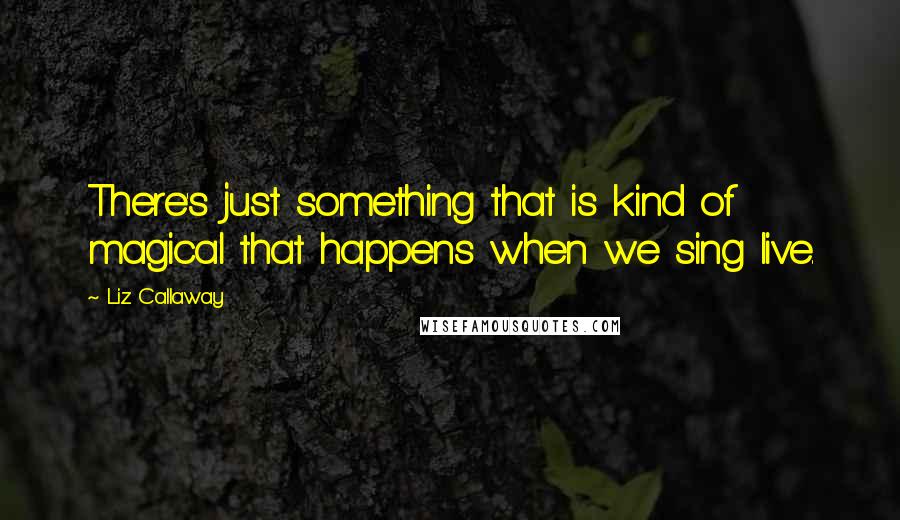 Liz Callaway Quotes: There's just something that is kind of magical that happens when we sing live.