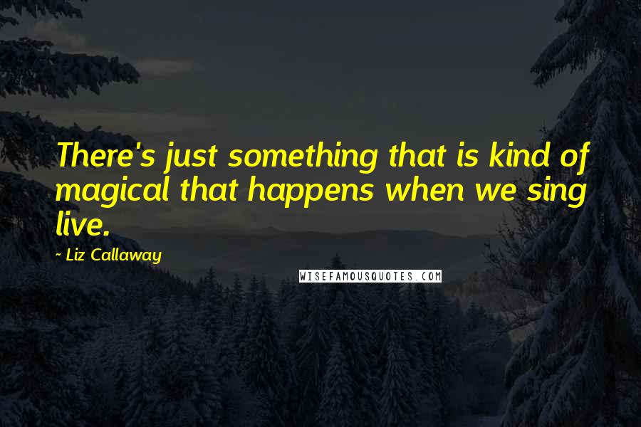Liz Callaway Quotes: There's just something that is kind of magical that happens when we sing live.
