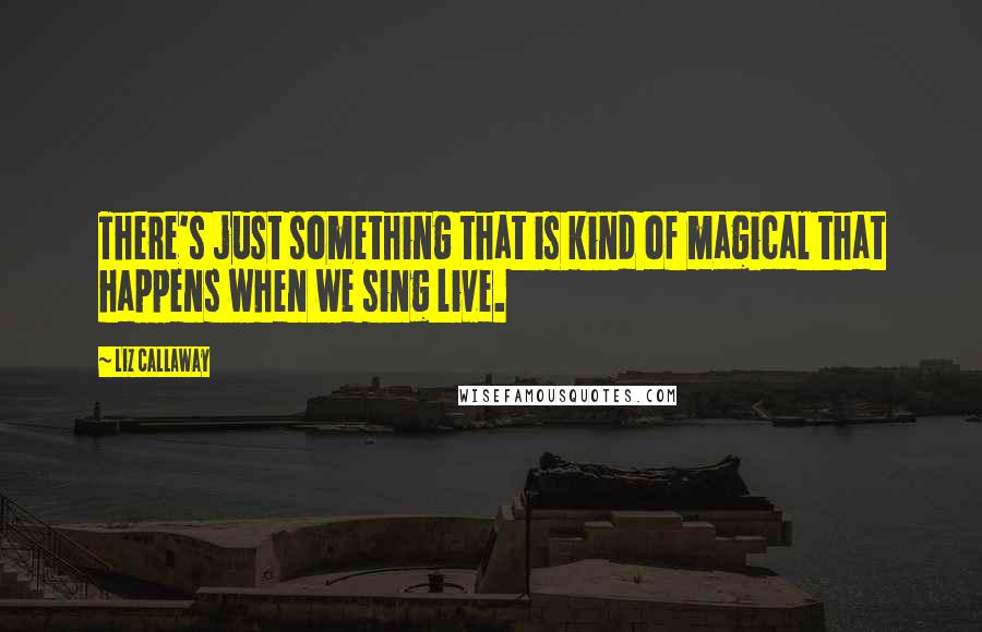 Liz Callaway Quotes: There's just something that is kind of magical that happens when we sing live.