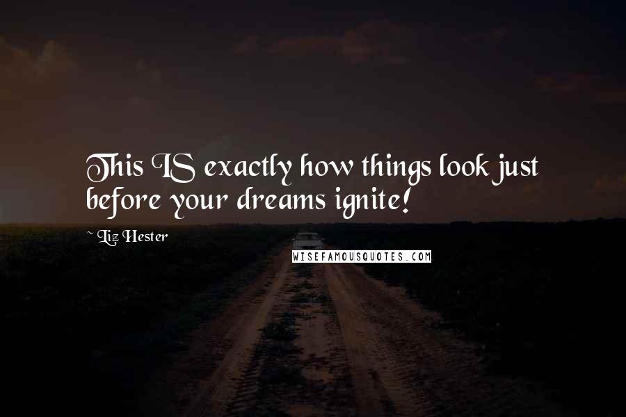 Liz Hester Quotes: This IS exactly how things look just before your dreams ignite!