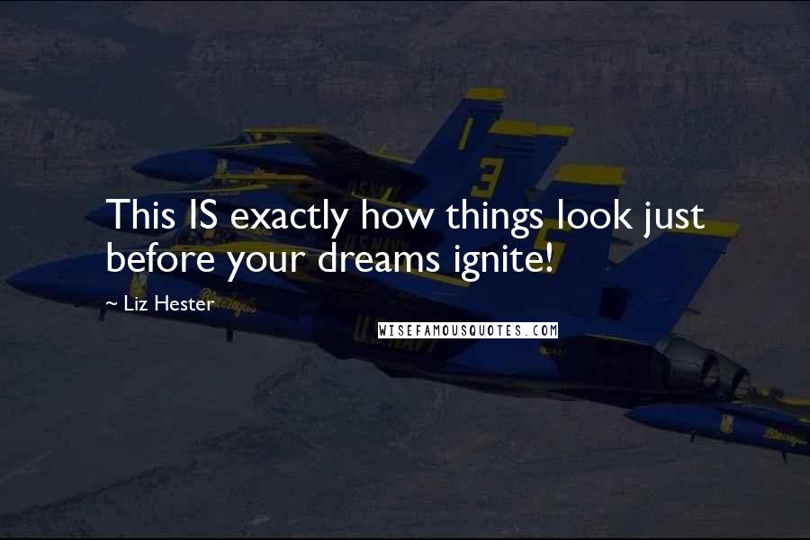 Liz Hester Quotes: This IS exactly how things look just before your dreams ignite!