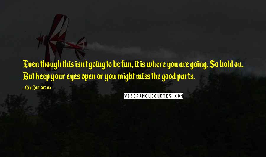 Liz Lamoreux Quotes: Even though this isn't going to be fun, it is where you are going. So hold on. But keep your eyes open or you might miss the good parts.