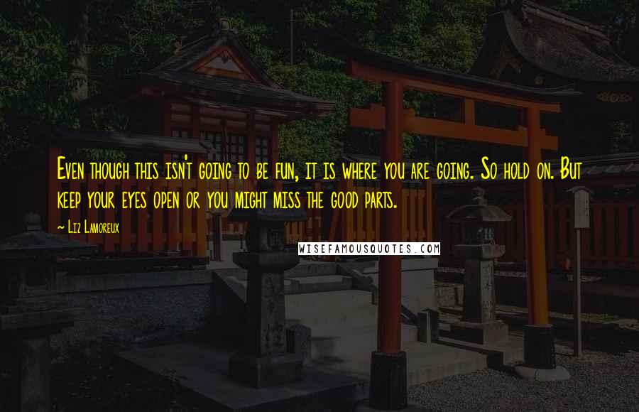 Liz Lamoreux Quotes: Even though this isn't going to be fun, it is where you are going. So hold on. But keep your eyes open or you might miss the good parts.