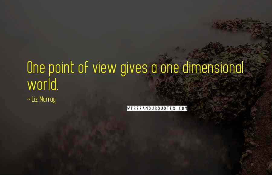 Liz Murray Quotes: One point of view gives a one dimensional world.