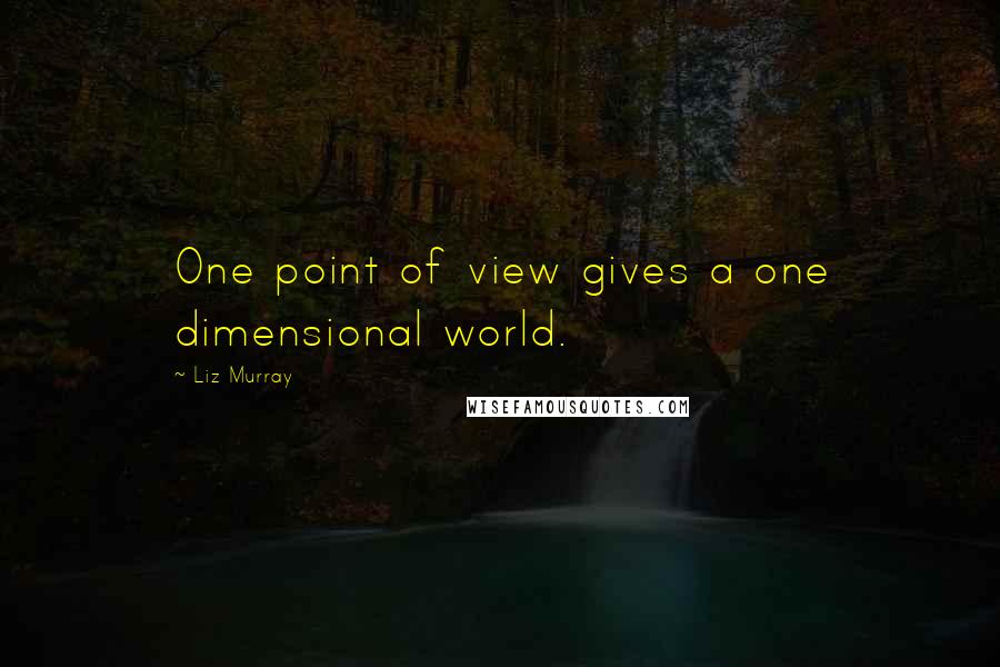Liz Murray Quotes: One point of view gives a one dimensional world.