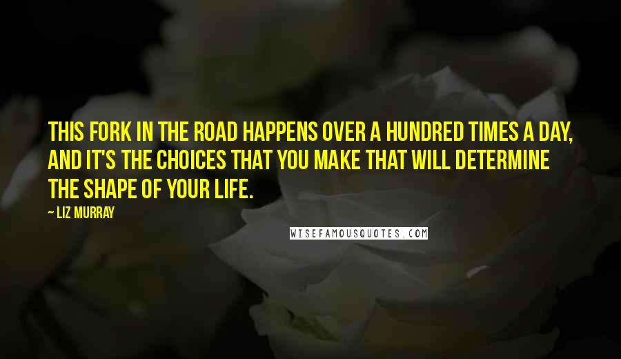 Liz Murray Quotes: This fork in the road happens over a hundred times a day, and it's the choices that you make that will determine the shape of your life.