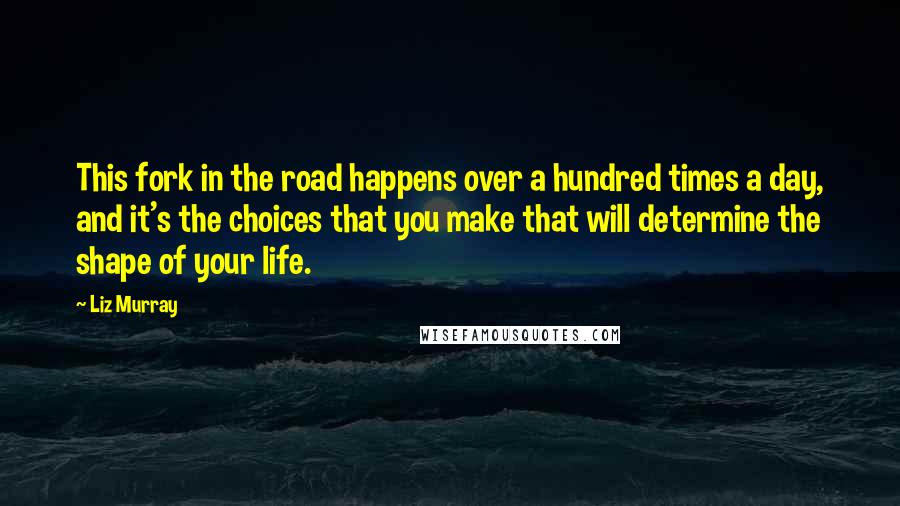 Liz Murray Quotes: This fork in the road happens over a hundred times a day, and it's the choices that you make that will determine the shape of your life.